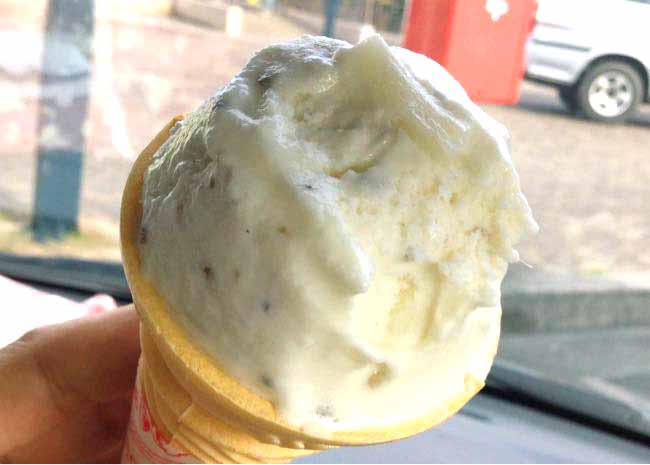 [香川県]道の駅 滝宮で讃岐うどんアイス（いりこ入り）を食べてきたら…