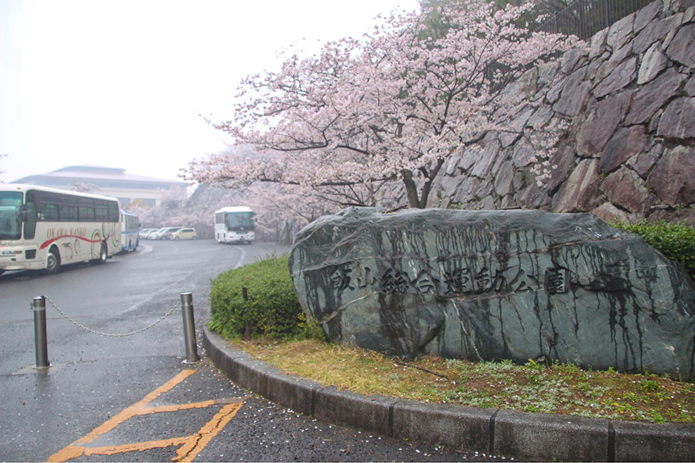 [お花見スポット]香川県丸亀付近でオススメの桜の名所まとめ
