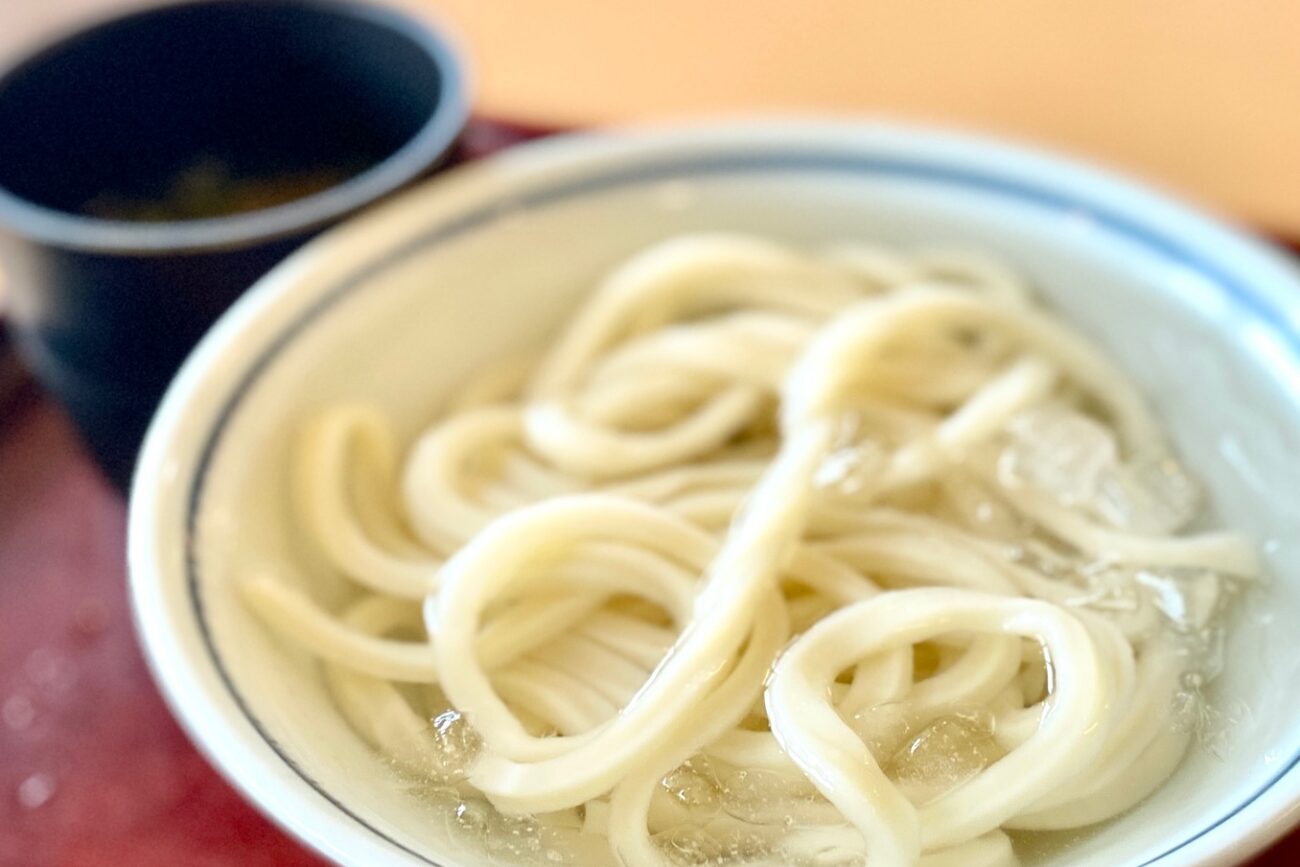 岡じまの冷やしうどん